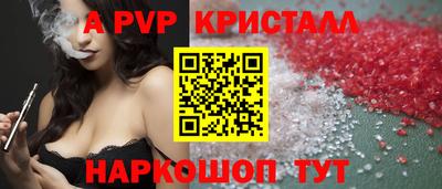 шишки Новодвинск