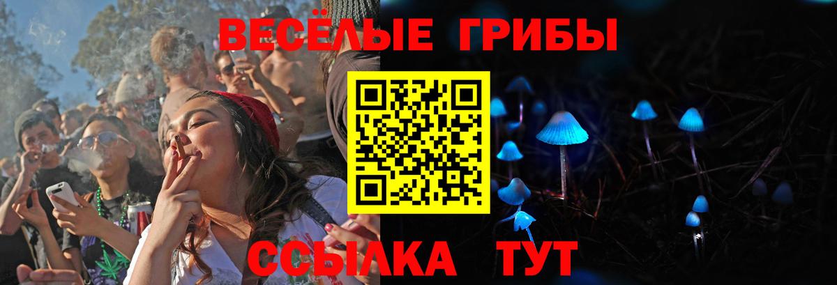 Куйбышев  Псилоцибиновые грибы MAGIC MUSHROOMS  Вход с VPN 